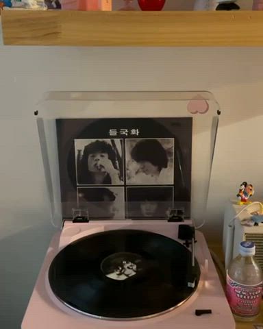 들국화💜