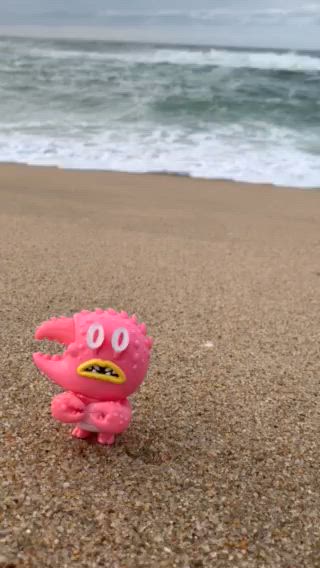핑크 🦀