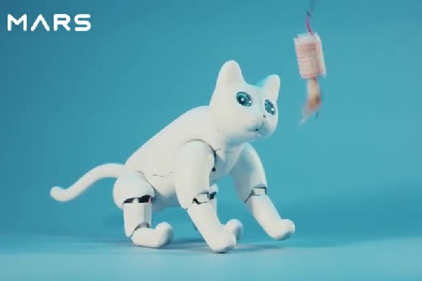 반려묘 로봇 마스캣